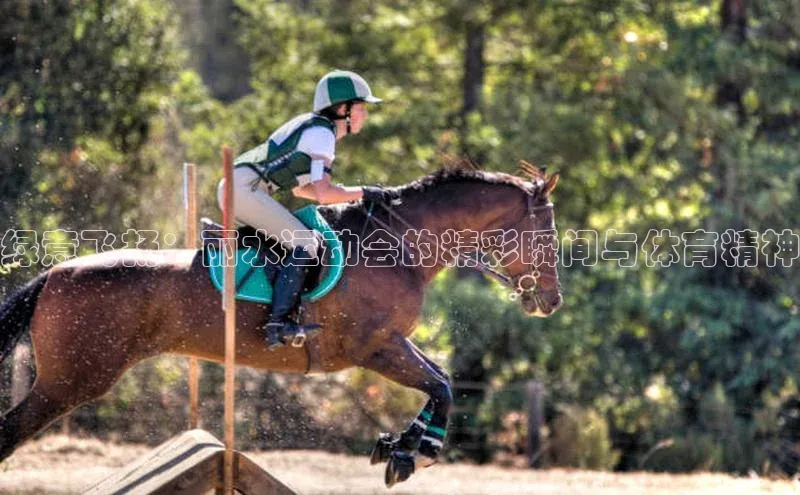 英国威廉希尔体育公司